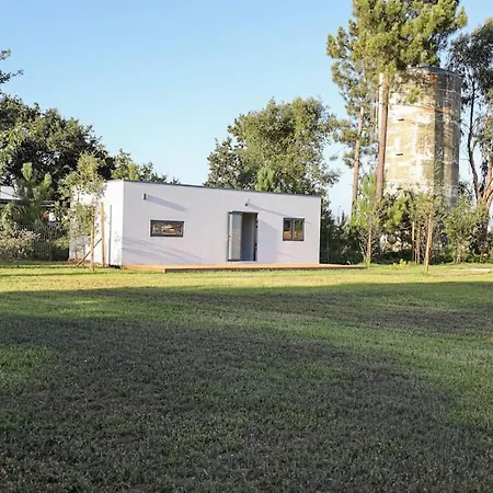 Areia Do Gonde * Avanca